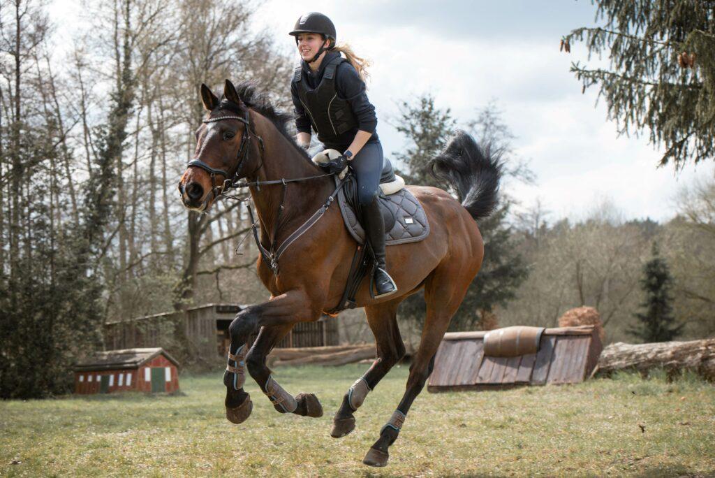 Reiterin auf einem Hunterpferd beim Training im Freien